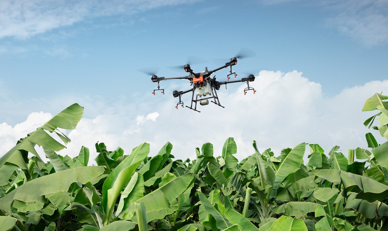 Indian Farmers and the Drone Revolution: A Road Ahead